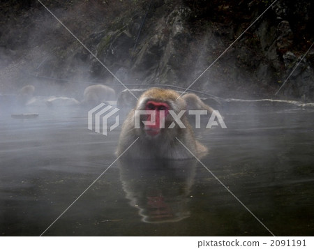 Jigokudani hot spring 2091191