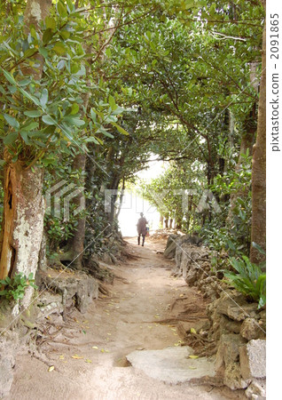 二級樹木行 九州 風景 2091865