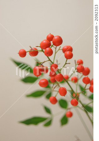 南方的天空 南方的天空 2092313