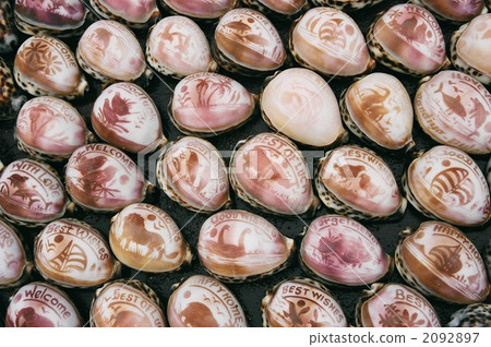 Kanyakumari seashell art Kanyakumari seashell art 2092897