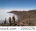 cacti, cactuse, salar de uyuni 2093276