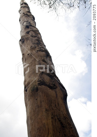 honored pillars, honbashira, power spot 2093775