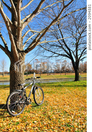 新潟縣體育公園和自行車 2094881