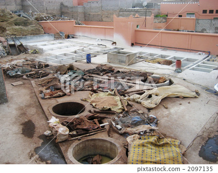 馬拉喀什的製革廠 2097135