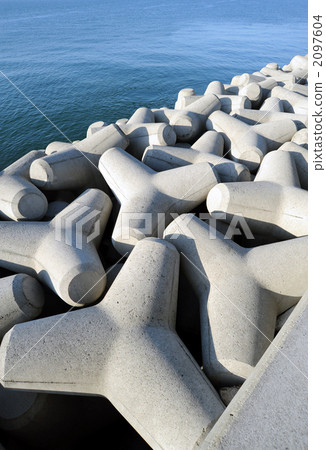 Tetrapod Tetrapod 2097604
