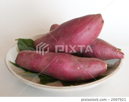 Kawagoe potato 2097921