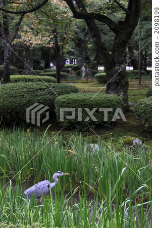 Arohagi的Kenrokuen鳥 2098199