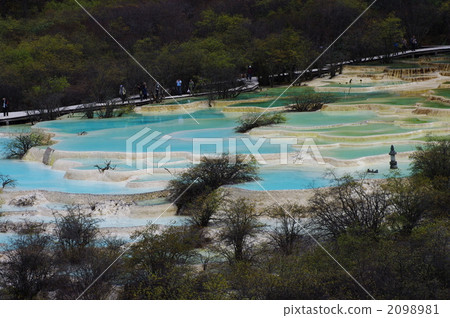 黃龍 黃龍 2098981