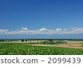 Hokkaido 2099439
