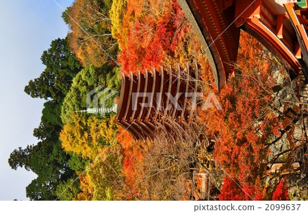 Ten thousand towers of autumn leaves Ten thousand towers of autumn leaves 2099637