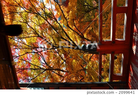 Fall of Shinshan Shrine Fall of Shinshan Shrine 2099641