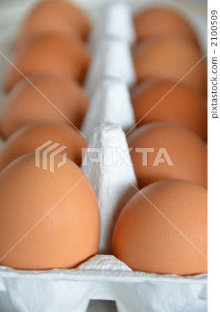 雞蛋 雞蛋 2100509