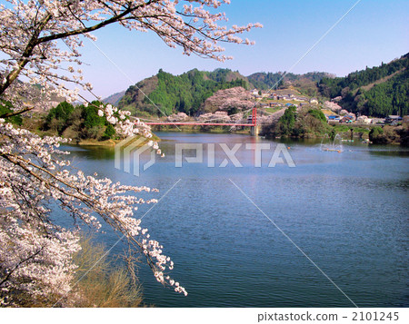 Tsukigase's spring 2101245