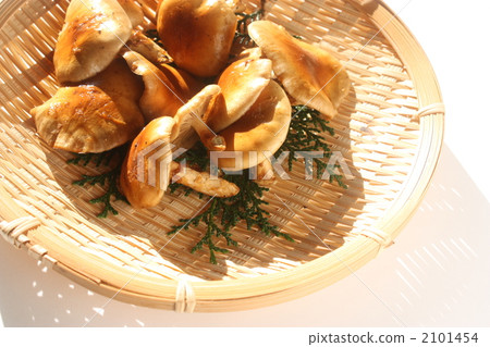 天然夸克 2101454