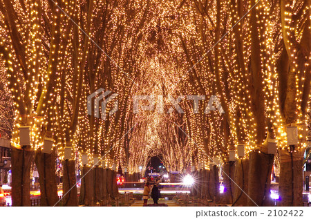 Sendai Hikari no pageant 2102422