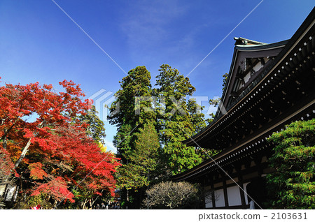 鎌倉的秋葉：天草寺 2103631