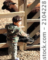 Alpaca and a boy 2104228