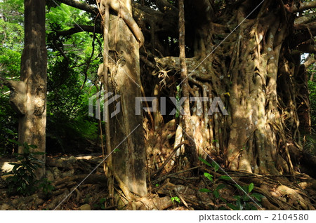 被遺忘的時間3 被遺忘的時間3 2104580