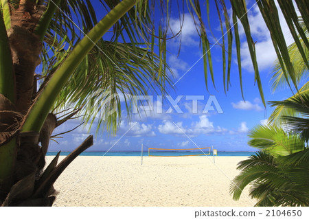 可以看到排球場的Managaha島的視圖 2104650