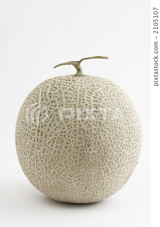 melon melon 2105107