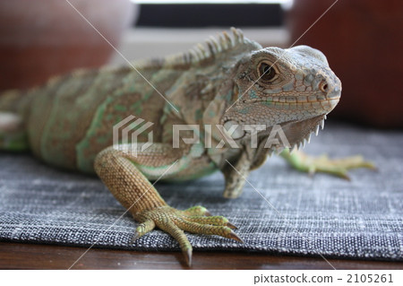 Indy Kimi 081210 Indy Kimi 081210 2105261