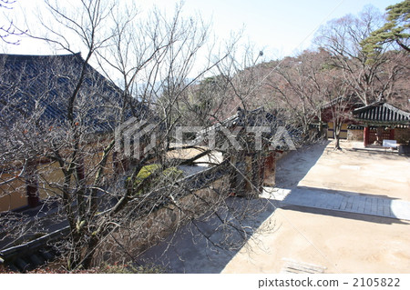 Korea · Gyeongju Bulguksa Temple Korea · Gyeongju Bulguksa Temple 2105822
