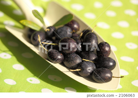 黑橄欖 水果 橄欖 2106063