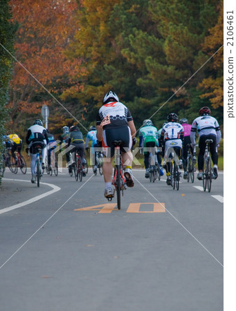 racer, road bike, road race 2106461