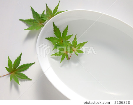 Maple floating in water Maple floating in water 2106828