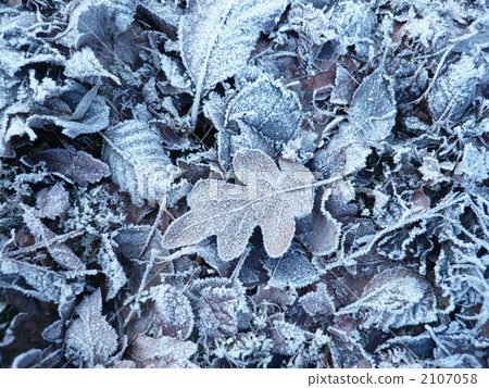 Winter ground 1 Winter ground 1 2107058