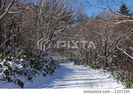 大雪鋪滿的路 道 道路 2107105