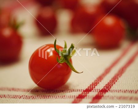 Petit tomatoes  2107319