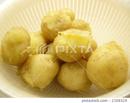 新土豆(煮) 新土豆(煮) 2108329