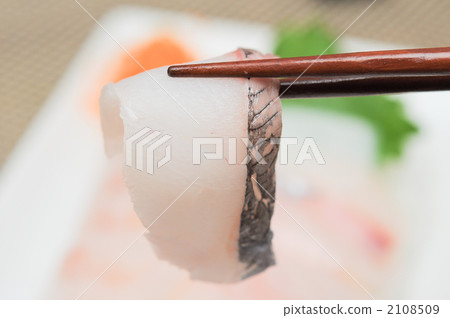 鯛魚 鯛 生魚片 2108509