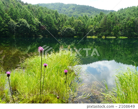 Shrine pond 2108649