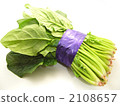 菠菜 2108657