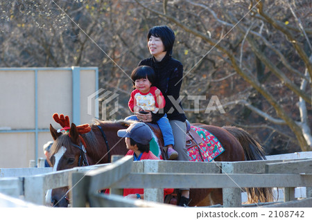Horseback riding experience Horseback riding experience 2108742