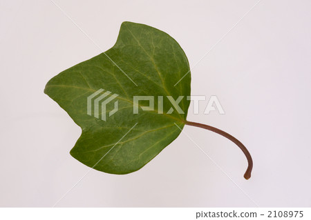 Kiduta葉子 2108975