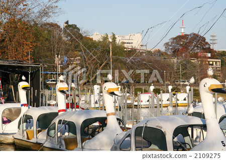 Swan boat at Senba lake Swan boat at Senba lake 2109275