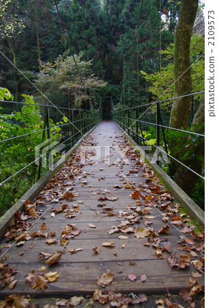 懸索橋懸索橋 2109573