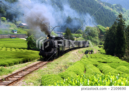 Tea fields and steam locomotives 2109690