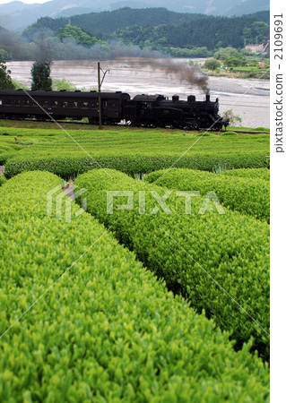 Tea fields and steam locomotives 2109691