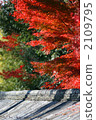 Autumn leaves in Kyoto 2109795