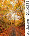 Autumn color 2110231