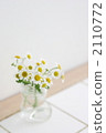Small chamomile flower 2110772