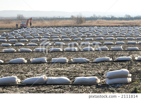 Rice ground shell of a paddy field Rice ground shell of a paddy field 2111814