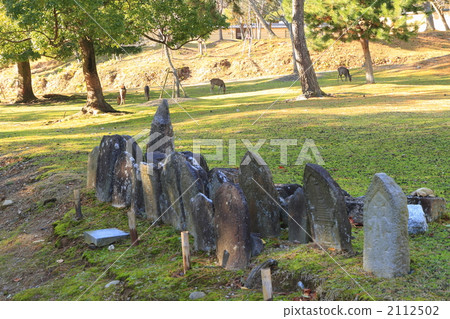 石佛像 石佛 奈良縣 2112502