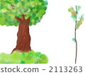 tree, thick tree, illustration 2113263