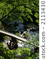 Forest bridge 2113430