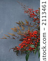 Southern skunk fruit tremendously 2113461